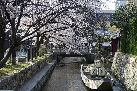 高瀬川.jpg