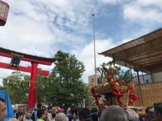 深川八幡祭り2017宮入り3.jpg