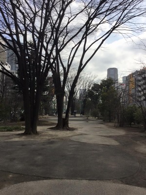 みやした公園庭.jpg