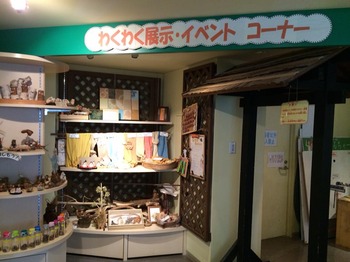 植物センター展示コーナー.jpg