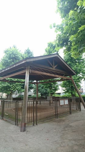 氷川神社土俵.JPG