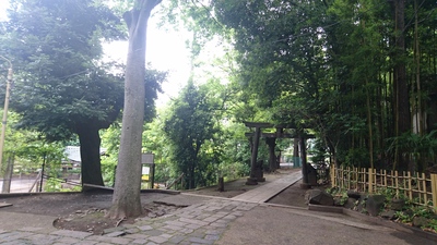 氷川神社境内.JPG