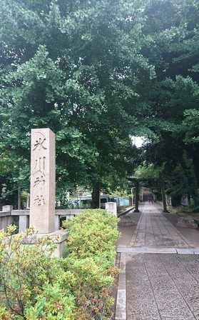 氷川神社鳥居.JPG