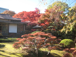 IMG_2716.JPGのサムネール画像