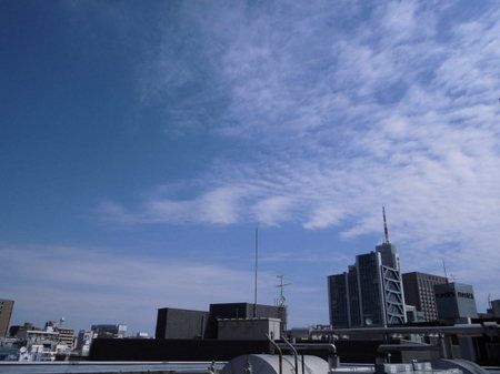 CIMG0550.JPG
