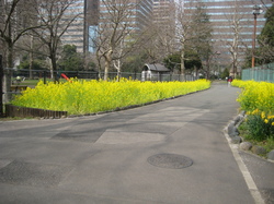 IMG_6218.JPGのサムネール画像