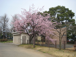 IMG_6223.JPG