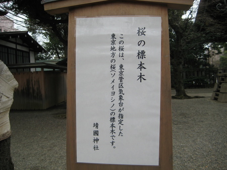 IMG_6267.JPG
