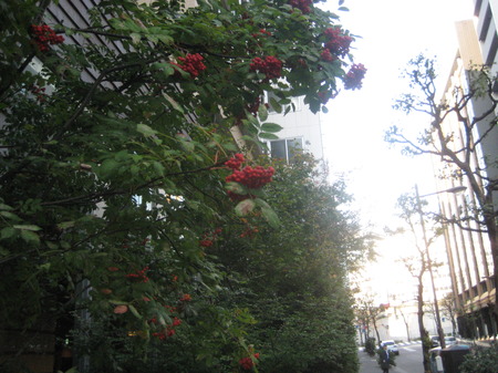 IMG_9590.JPG