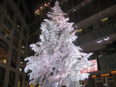 IMG_0725.JPG