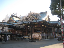 IMG_1145.JPGのサムネール画像