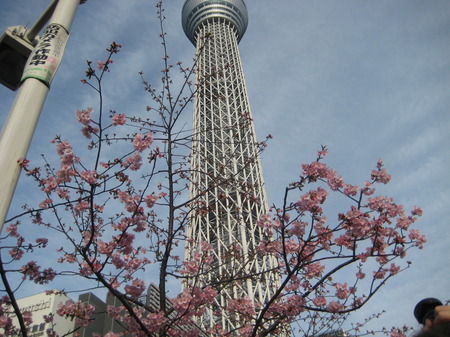 IMG_1174.JPG