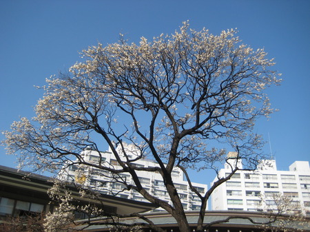 IMG_6112.JPG