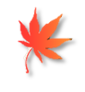 もみじ.png