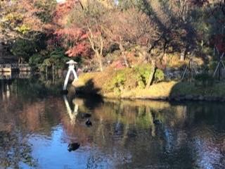 有栖川宮記念公園池2.jpg