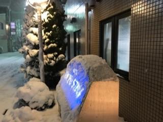 祐天寺の雪の光景20182.jpg