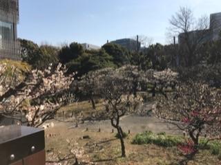 芝公園銀世界梅20186.jpg