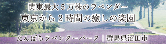 だんばらラベンダーパーク バナー